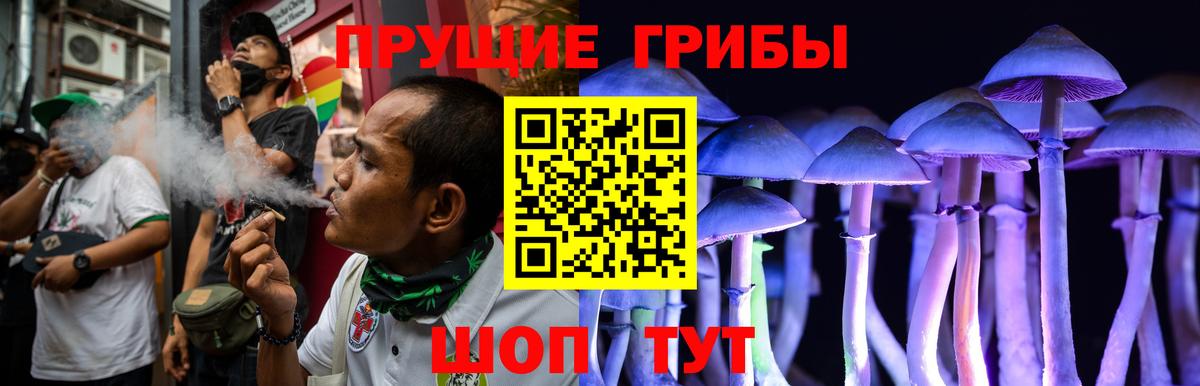 Галлюциногенные грибы мухоморы  Вход с VPN  Химки  купить наркоту  Псилоцибиновые грибы Magic Shrooms 